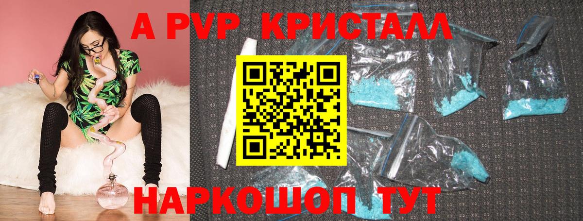 A PVP СК Шадринск