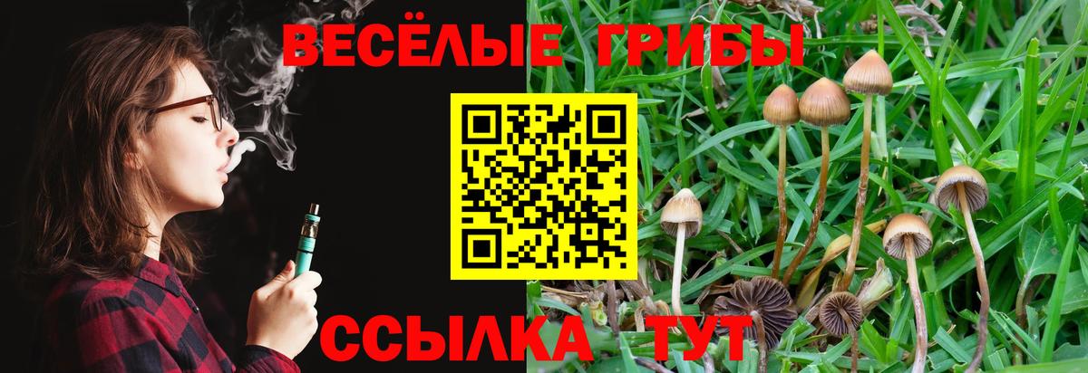 Шадринск  Псилоцибиновые грибы ЛСД  Вход с VPN 