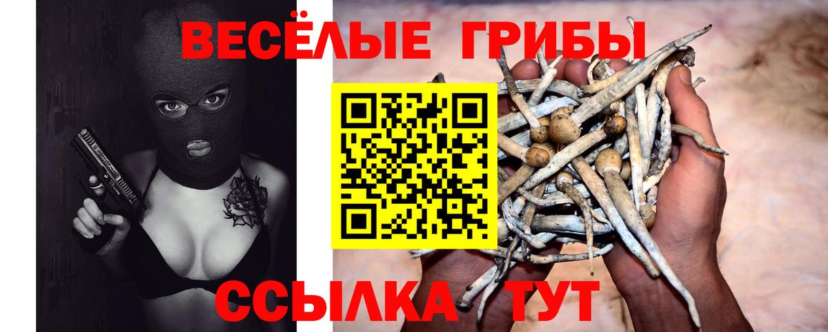 Псилоцибиновые грибы Psilocybe Шадринск